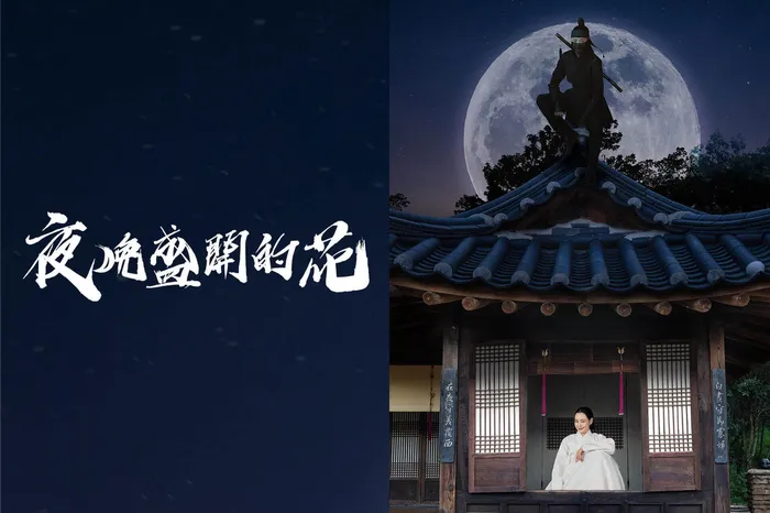 夜晚盛開的花