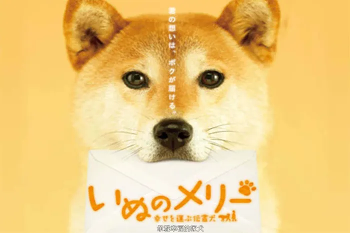 承載幸福的家犬