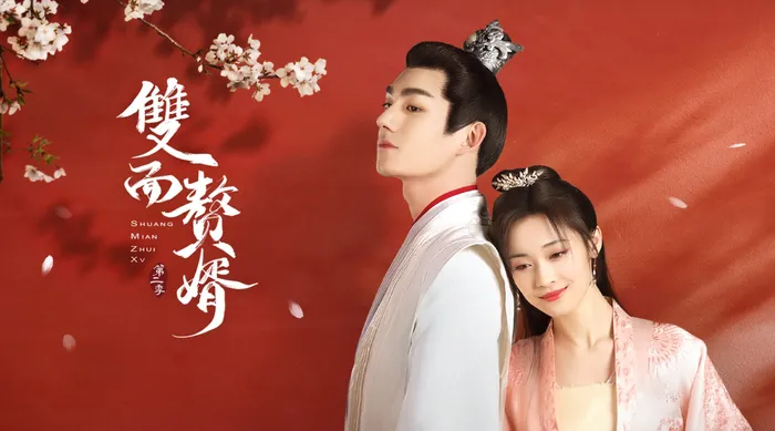 雙面贅婿 第二季