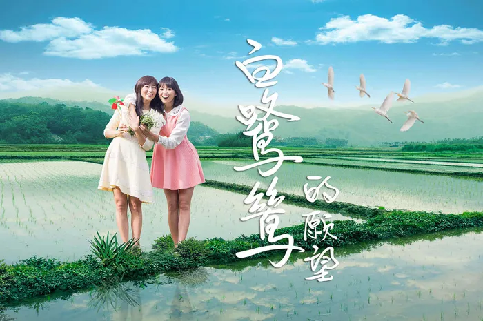 白鷺鷥的願望