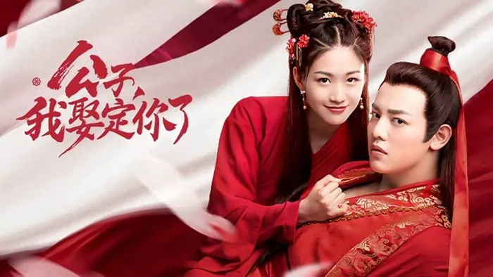 公子，我娶定你了