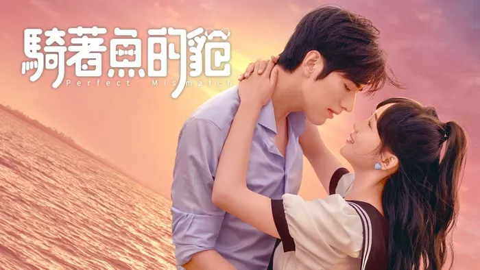 騎著魚的貓