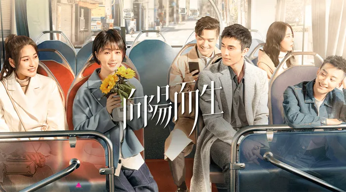 向陽而生