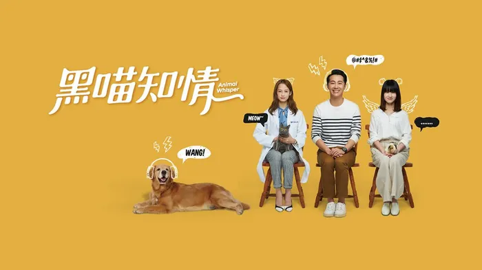 黑喵知情