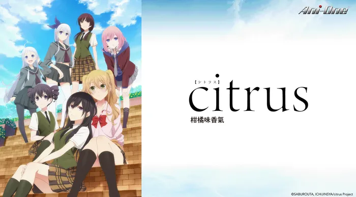 citrus～柑橘味香氣