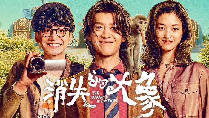 消失的大象