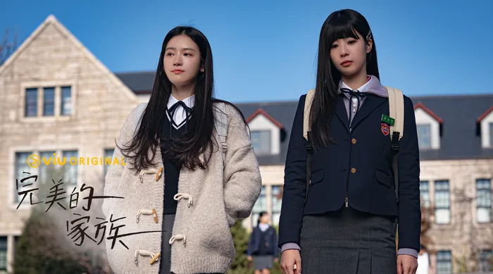 完美的家族