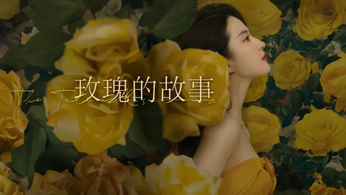 玫瑰的故事