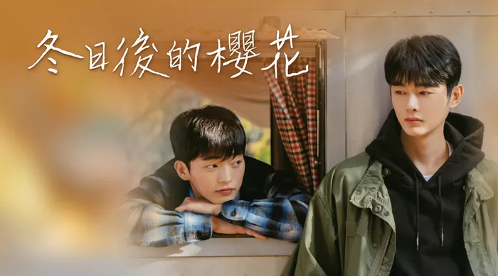 冬日後的櫻花