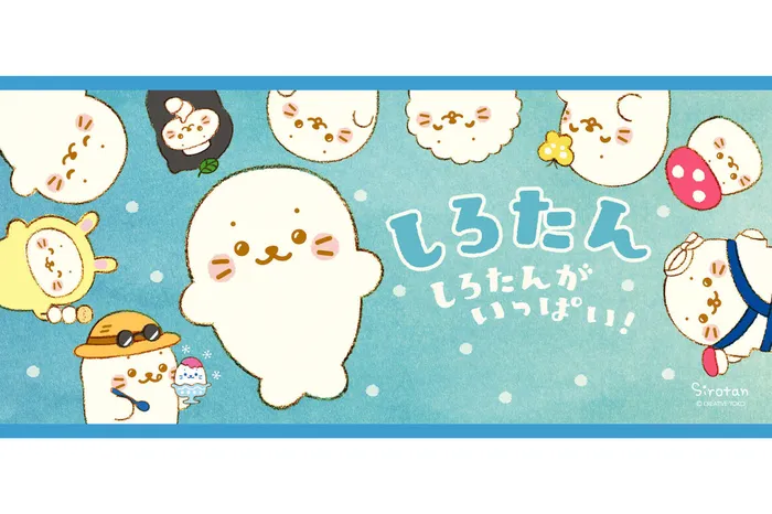 海豹小白
