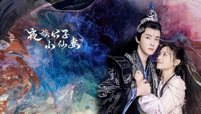 夜族公子小仙妻